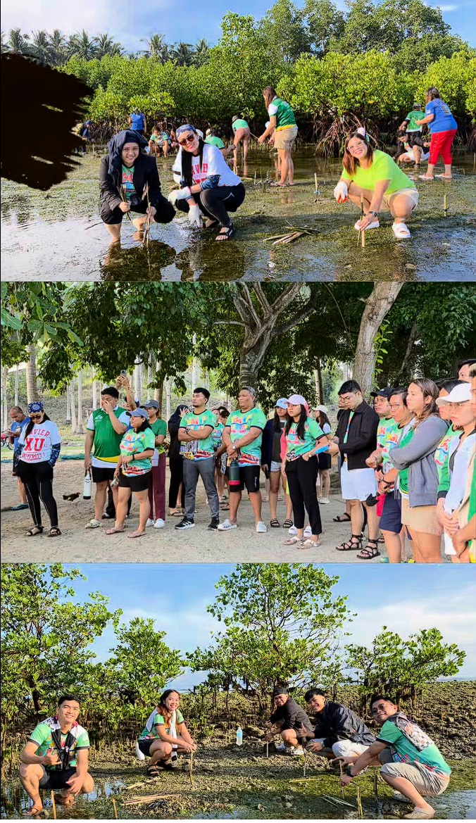 Baybayani 2.0: A Mangrove Rehabilitation Initiative